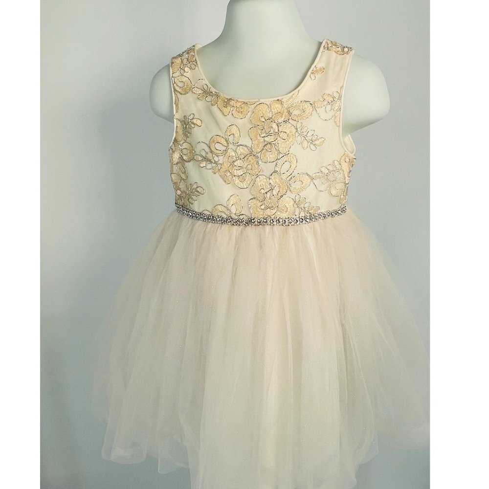 Sweet Heart Rose Dress Size 3T